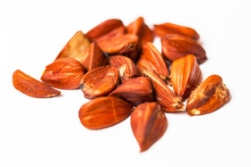 Stock Image: beechnuts white background