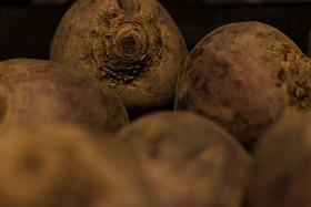 Stock Image: beetroot