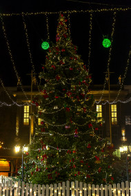 Stock Image: big christmas tree