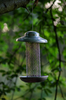 Stock Image: Bird Feeder