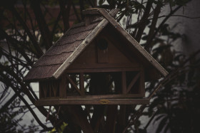 Stock Image: bird house