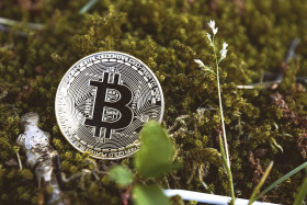 Stock Image: bitcoin on moss