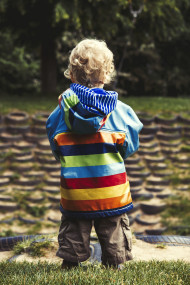 Stock Image: boy looks into the gorge