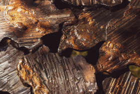 Stock Image: bronze shards texture