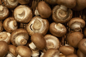 Stock Image: brown champignon mushrooms background
