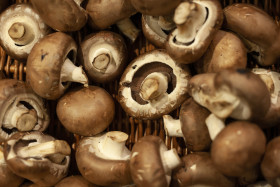 Stock Image: brown champignon mushrooms background