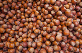 Stock Image: brown dried hazelnuts background - nut background chocolate cream ingrediance
