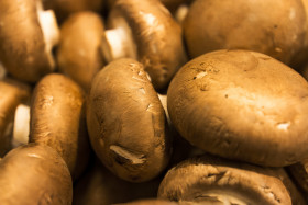 Stock Image: brown mushrooms champignons