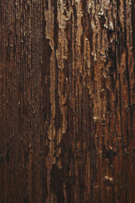Stock Image: brown peeling wood veneer texture