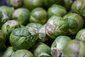 Stock Image: Brussels sprouts