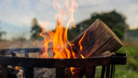 Stock Image: Burning logs in a fireplace