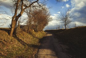 Stock Image: cane road in germany