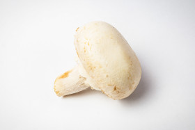 Stock Image: champignon white background