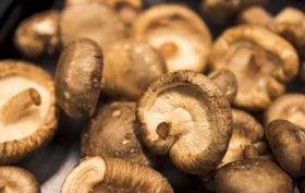 Stock Image: champignons