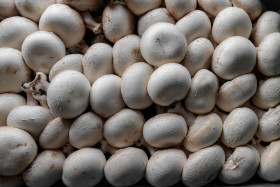 Stock Image: Champignons background