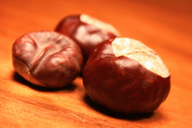 Stock Image: chestnuts