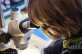 Stock Image: Child on a microscope