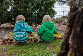 Stock Image: Children feed chickens