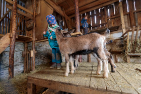 Stock Image: Children play with goats in a stable