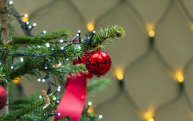 Stock Image: Christmas ball on christmas tree