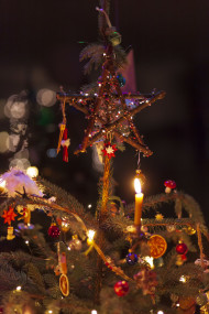 Stock Image: Christmas Tree
