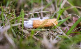 Stock Image: Cigarette butt was left on a meadow
