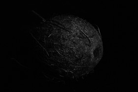 Stock Image: coconut black and white