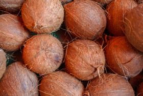 Stock Image: coconuts background