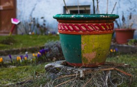 Stock Image: colorful flower pot