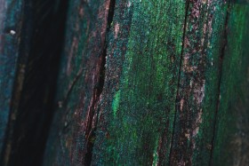 Stock Image: colorful grunge green wood texture