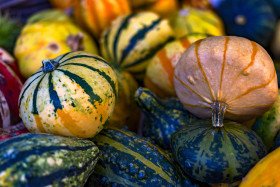Stock Image: colorful pumpkins