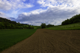 Stock Image: country fields melsungen