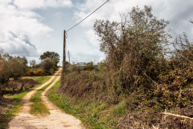 Stock Image: Country Road in Portugal