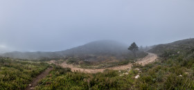 Stock Image: Country road in Portugal drenched in fog