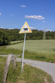 Stock Image: Cow Sign in a rural landscape by germany