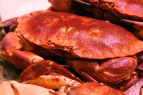 Stock Image: Crab at the fish market