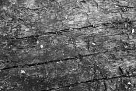 Stock Image: cracked wood texture blacknwhite
