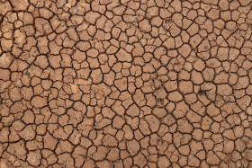 Stock Image: Cracks in the ground due to drought
