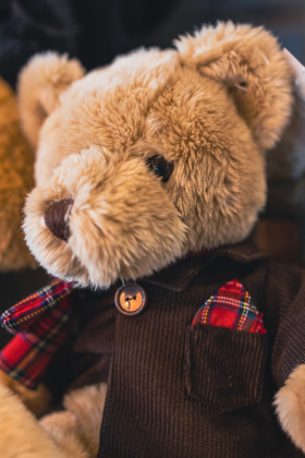 Stock Image: Cuddly teddy bear