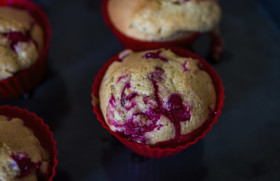 Stock Image: currant muffins