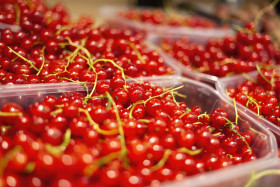 Stock Image: Currants in plastic boxes from the market