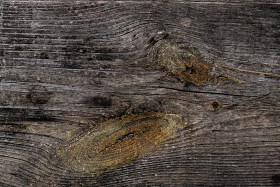 Stock Image: Dark wood texture