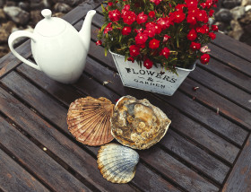 Stock Image: decorated garden table