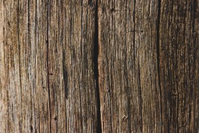 Stock Image: decorative grunge wood grain texture background