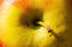 Stock Image: delicious apple macro background