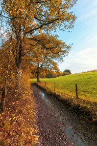 Stock Image: Dirt road in germany by marscheider bachtal in nrw