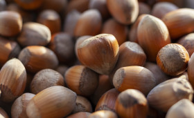 Stock Image: Dried Hazelnuts in closeup