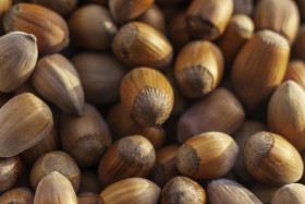 Stock Image: Dried Hazelnuts organic closeup background