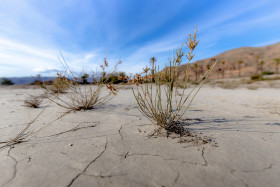 Stock Image: dry soil in spain