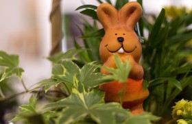 Stock Image: easter bunny between ivy